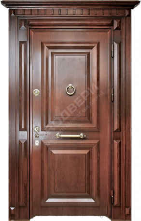 Фотография «Парадная дверь №133»